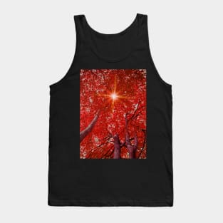 Sunlight through autumn trees Tank Top